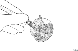 rassom Bosib Chiqarish Uchun Bo'yash Sahifalari